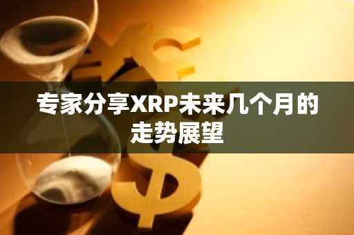 专家分享XRP未来几个月的走势展望