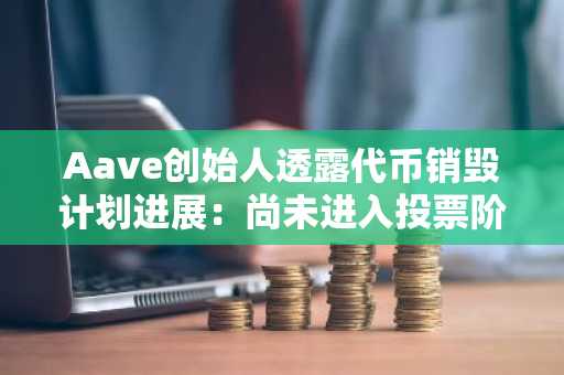Aave创始人透露代币销毁计划进展：尚未进入投票阶段