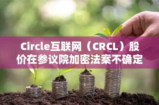 Circle互联网(CRCL)股价在参议院加密法案不确定性中下跌5%