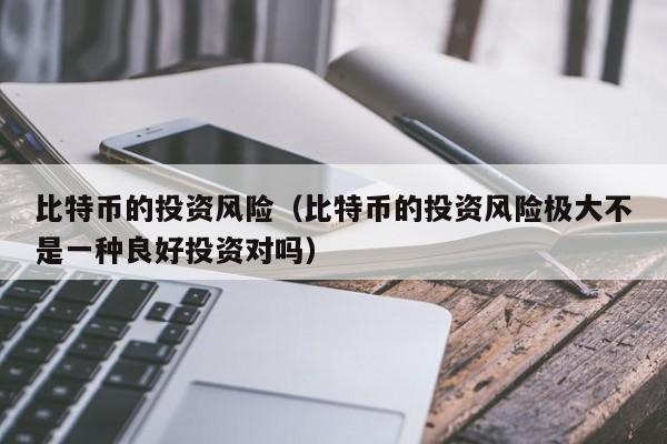 比特币的投资风险(比特币的投资风险极大不是一种良好投资对吗)