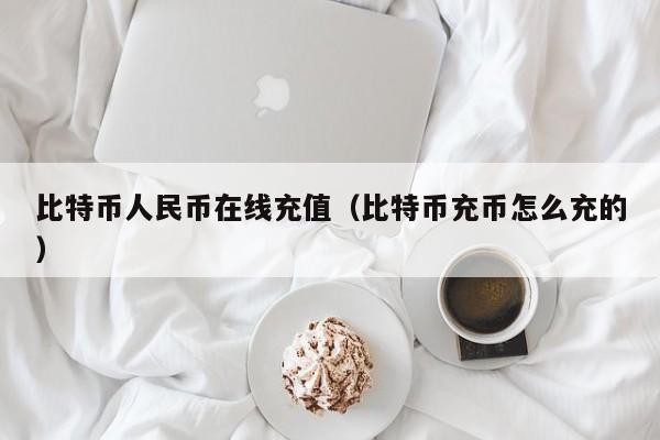 比特币人民币在线充值（比特币充币怎么充的）