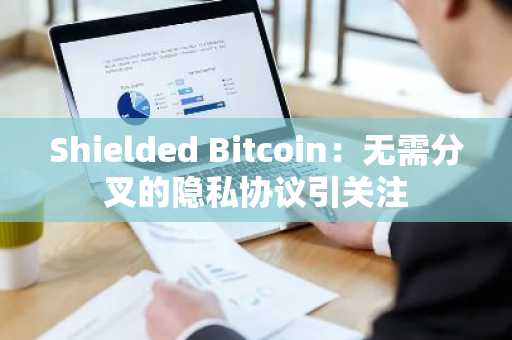 Shielded Bitcoin：无需分叉的隐私协议引关注