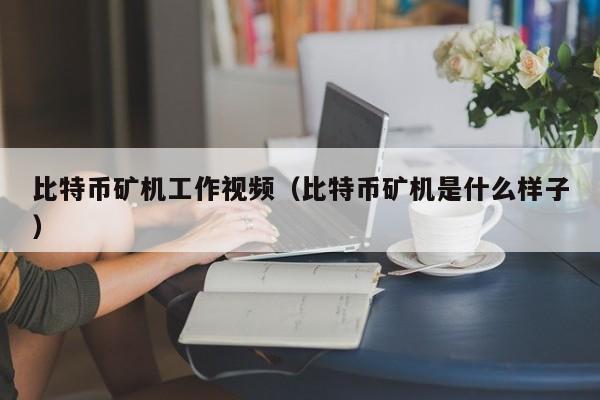 比特币矿机工作视频（比特币矿机是什么样子）