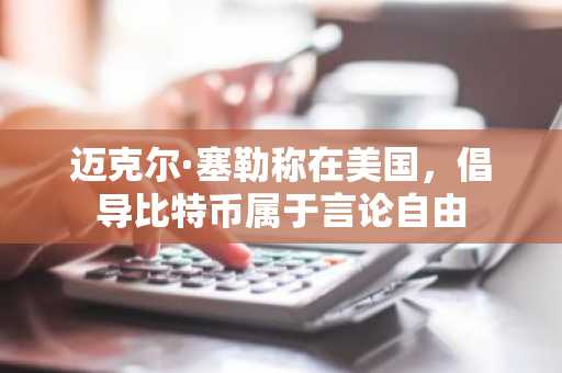 迈克尔·塞勒称在美国，倡导比特币属于言论自由