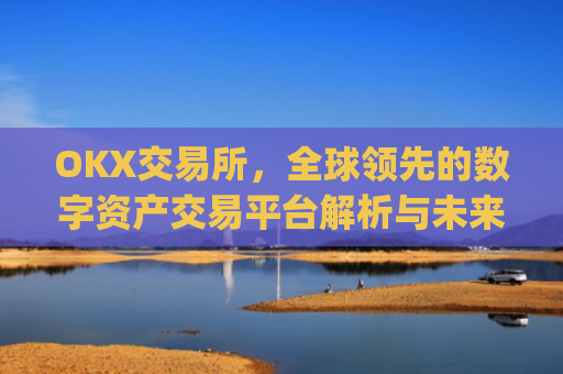 OKX交易所，全球领先的数字资产交易平台解析与未来展望_okx交易所是哪个国家的