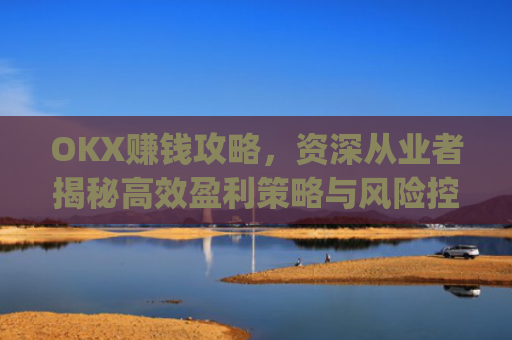 OKX赚钱攻略，资深从业者揭秘高效盈利策略与风险控制_okx赚钱图片