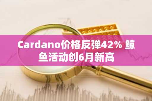 Cardano价格反弹42% 鲸鱼活动创6月新高