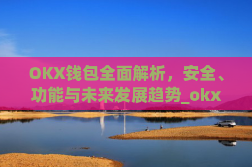 OKX钱包全面解析，安全、功能与未来发展趋势_okx钱包app官方入口