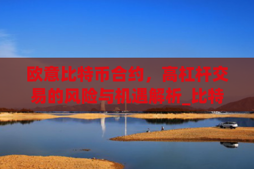 欧意比特币合约，高杠杆交易的风险与机遇解析_比特币欧元交易所
