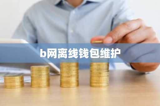 b网离线钱包维护