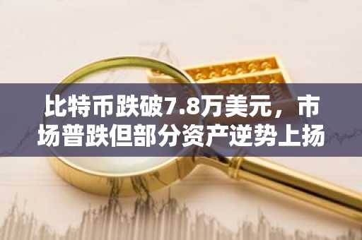 比特币跌破7.8万美元，市场普跌但部分资产逆势上扬