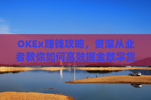 OKEx赚钱攻略，资深从业者教你如何高效掘金数字货币市场_okex赚钱吗