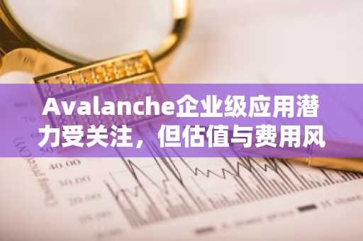 Avalanche企业级应用潜力受关注，但估值与费用风险并存