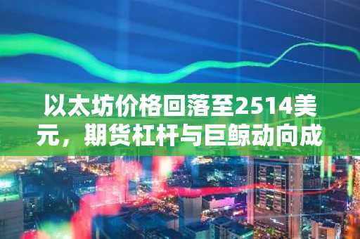 以太坊价格回落至2514美元，期货杠杆与巨鲸动向成焦点
