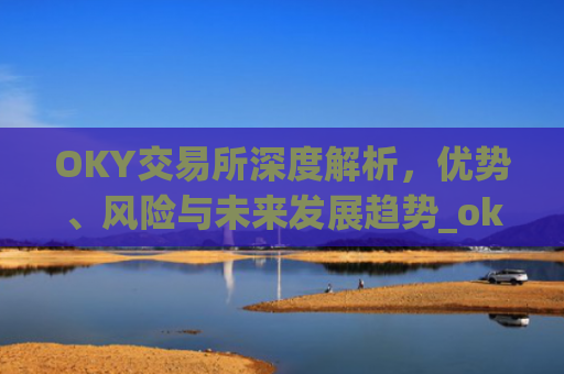 OKY交易所深度解析,优势、风险与未来发展趋势_ok交易所登录网址