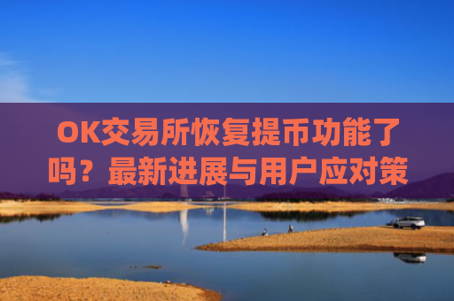 OK交易所恢复提币功能了吗？最新进展与用户应对策略解析_ok交易所可以提币了吗