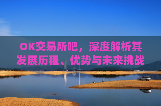 OK交易所吧，深度解析其发展历程、优势与未来挑战_ok 交易所