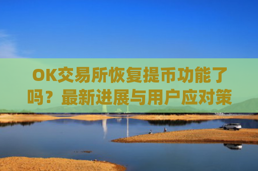 OK交易所恢复提币功能了吗？最新进展与用户应对策略解析_ok交易所能提币了吗是真的吗