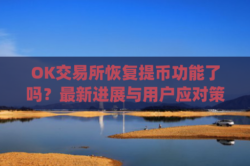 OK交易所恢复提币功能了吗？最新进展与用户应对策略解析_ok交易所能提币了吗是真的吗