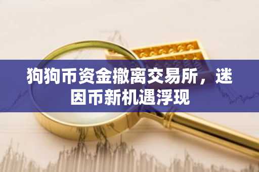 狗狗币资金撤离交易所，迷因币新机遇浮现