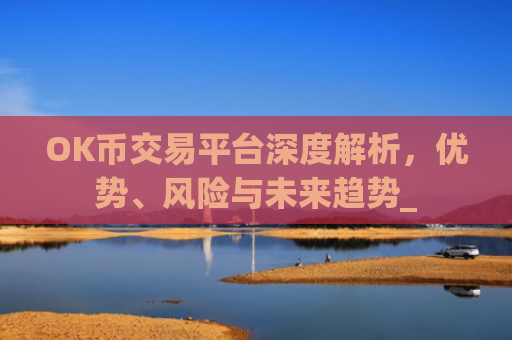 OK币交易平台深度解析，优势、风险与未来趋势_