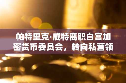 帕特里克·威特离职白宫加密货币委员会，转向私营领域发展