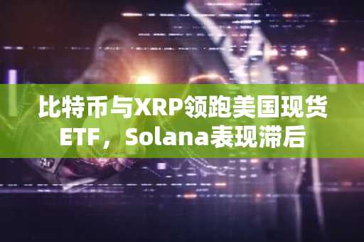 比特币与XRP领跑美国现货ETF，Solana表现滞后
