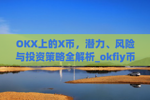 OKX上的X币，潜力、风险与投资策略全解析_okfiy币