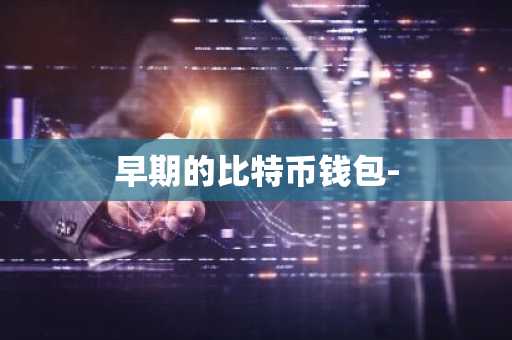 早期的比特币钱包-
