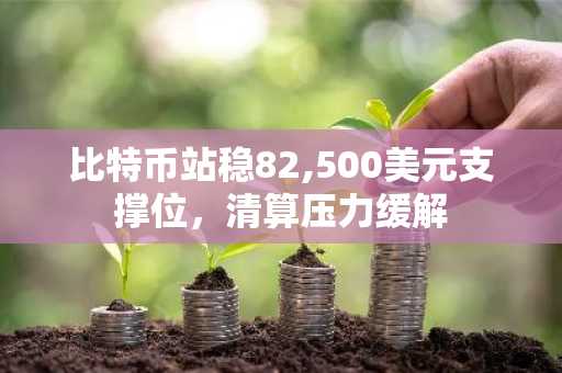比特币站稳82,500美元支撑位，清算压力缓解