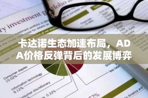 卡达诺生态加速布局，ADA价格反弹背后的发展博弈