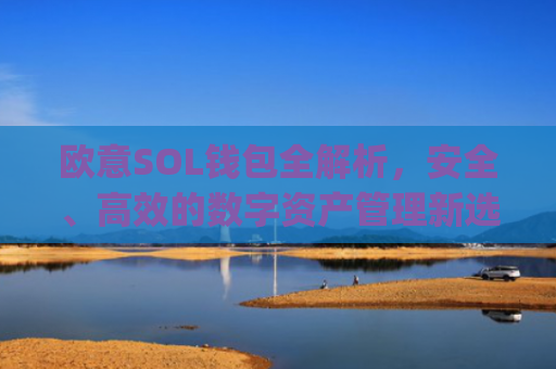 欧意SOL钱包全解析，安全、高效的数字资产管理新选择_oex钱包是什么