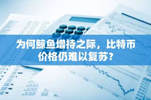 为何鲸鱼增持之际，比特币价格仍难以复苏？