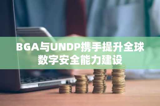 BGA与UNDP携手提升全球数字安全能力建设