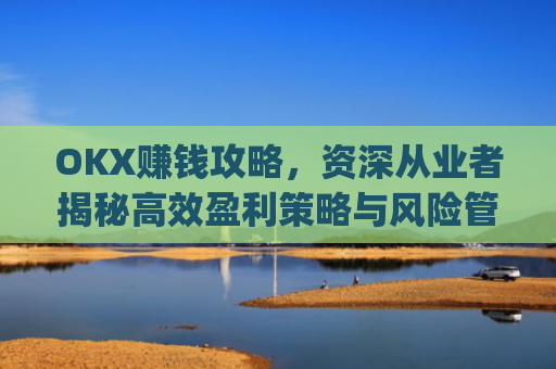 OKX赚钱攻略,资深从业者揭秘高效盈利策略与风险管理_okx赚钱图片
