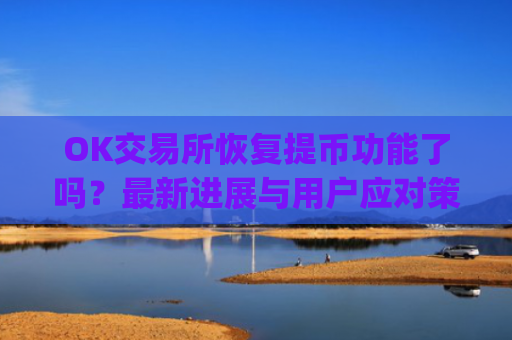 OK交易所恢复提币功能了吗？最新进展与用户应对策略解析_ok交易所能提币了吗是真的吗