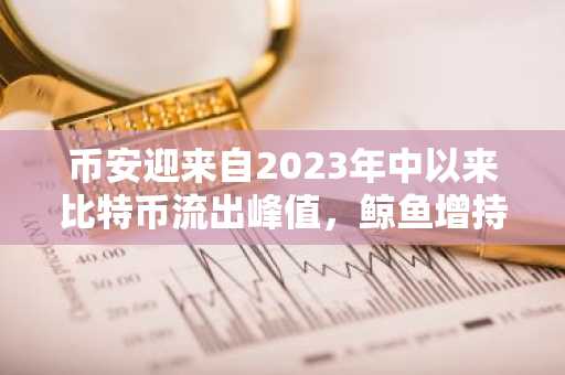 币安迎来自2023年中以来比特币流出峰值，鲸鱼增持USDC等稳定币