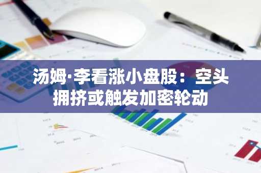 汤姆·李看涨小盘股：空头拥挤或触发加密轮动