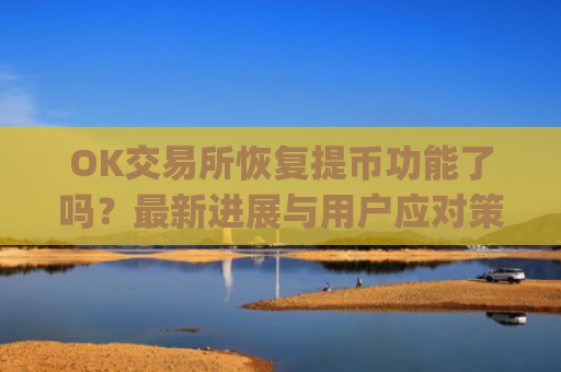 OK交易所恢复提币功能了吗？最新进展与用户应对策略_ok交易所可以提币了吗