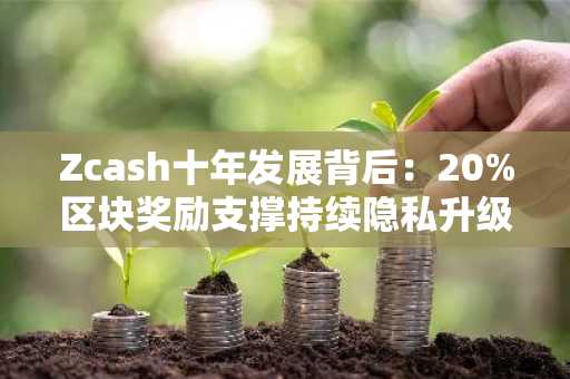 Zcash十年发展背后：20%区块奖励支撑持续隐私升级