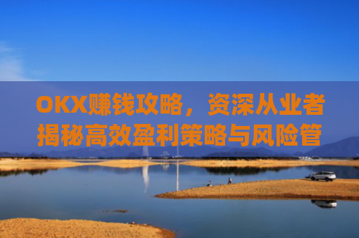OKX赚钱攻略，资深从业者揭秘高效盈利策略与风险管理_okx赚钱图片