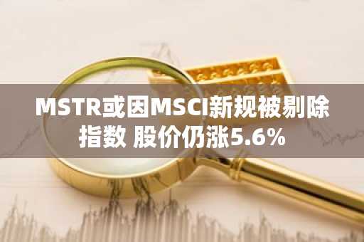MSTR或因MSCI新规被剔除指数 股价仍涨5.6%