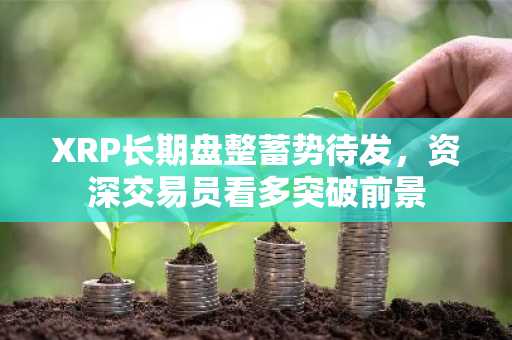 XRP长期盘整蓄势待发，资深交易员看多突破前景