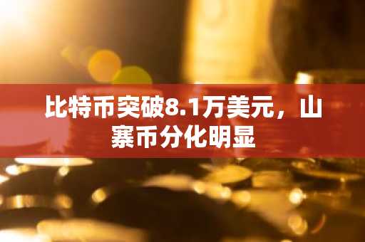 比特币突破8.1万美元，山寨币分化明显