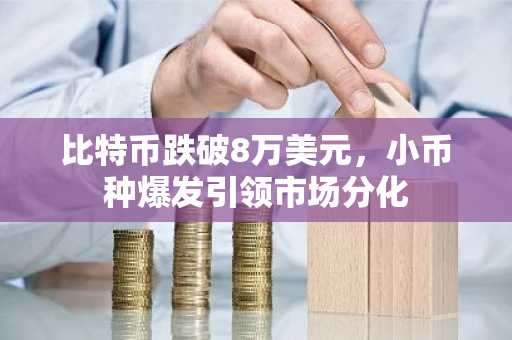 比特币跌破8万美元，小币种爆发引领市场分化