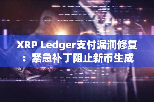 XRP Ledger支付漏洞修复：紧急补丁阻止新币生成