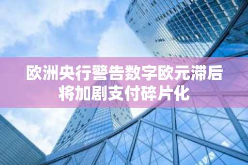 欧洲央行警告数字欧元滞后将加剧支付碎片化