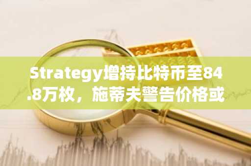 Strategy增持比特币至84.8万枚，施蒂夫警告价格或再探新低