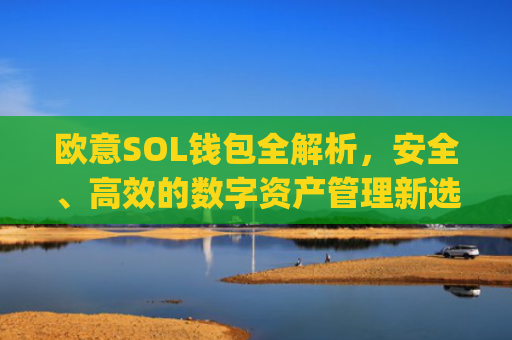 欧意SOL钱包全解析，安全、高效的数字资产管理新选择_oex钱包是什么