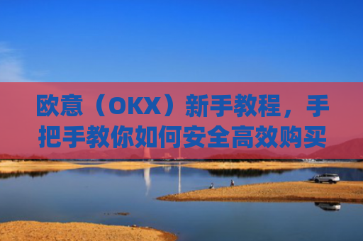 欧意（OKX）新手教程，手把手教你如何安全高效购买数字货币_